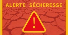 Il n'y a pas de description pour cette image