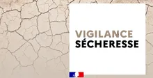 Il n'y a pas de description pour cette image
