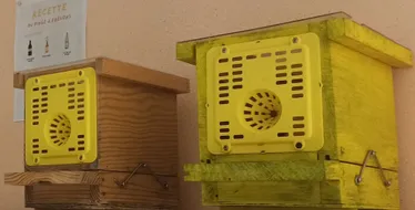 Il n'y a pas de description pour cette image