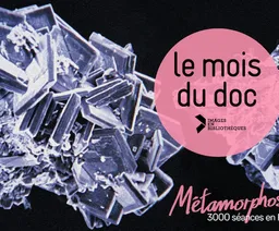 Il n'y a pas de description pour cette image