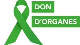 Il n'y a pas de description pour cette image