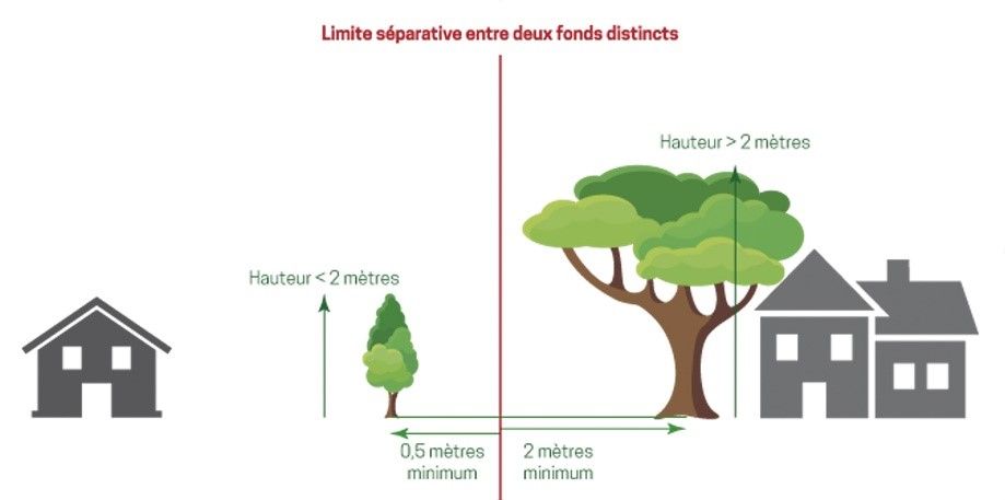 citoyenneté.jpg